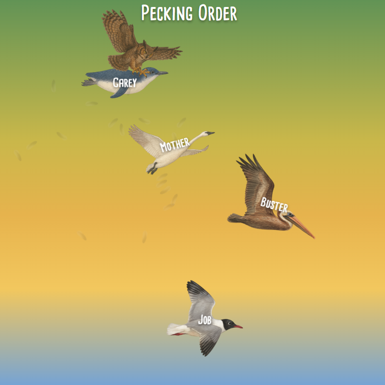 Screenshot of Pecking Order landing page